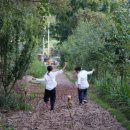 모원당 | 가평 촌캉스 독채 한옥 펜션 모원당(+셀프 웨딩 촬영 후기)