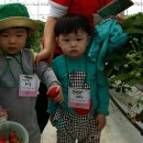 고래등어린이집 이미지