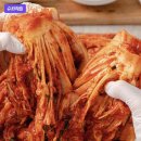 다살림명가 | [인생김치 추천] 깊은 감칠맛에 반했다! 운림가 50년전통 국산 전라도 포기 배추김치 솔직 리뷰