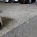 정일품한우식육식당 이미지