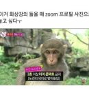 케익하우스 미엘 | 9월 !