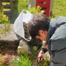 전북특별자치도교육청진안도서관 | 상추, 부추, 돈나물 자급자족하는 진안 농촌유학 일상 (feat. 계란)