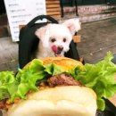 바스버거 이미지