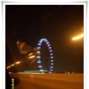 꼬꼬나라 이미지