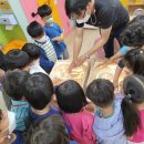 아트과학 이미지