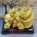 솔터농장 이미지