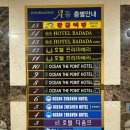 베스애견 | [광안리호텔/애견동반가능] 광안리 해변 1분거리 &#34;오션 더 포인트&#34; 애견동반 전용객실 디럭스더블 후기