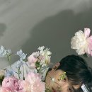 짱짱이네 Daum카페