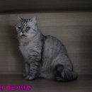 길봄 네이버블로그