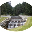 숲속통나무펜션 이미지