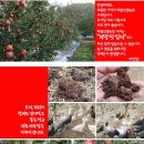 와룡농원 이미지