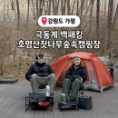 상천테마공원(주차장) | 호명산 잣나무숲속캠핑장 5번데크 호잣캠 명당 극동계 백패킹