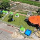 아싸애견미용실 이미지