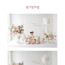 데이바이데이스튜디오 이미지