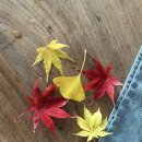 수레세탁소 이미지