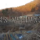 서종무너미 공인중개사사무소 이미지