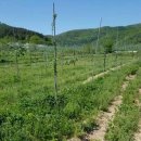 해성공인중개사사무소 이미지