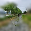 송가인공원 이미지