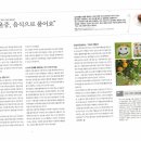 미주테라피