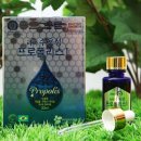 (주)라파프로폴리스