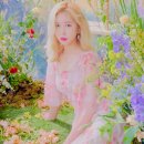 다영서비스