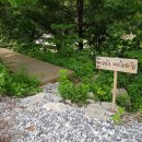 명지산 패밀리 펜션 | 가평가족여행 명지산패밀리펜션 다시찾은 보람있었어요.