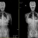 해가든제통의원 이미지