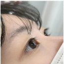 디자인위즈 이미지