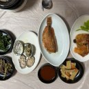 중앙물회 티스토리
