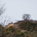 세도농협임천지점 네이버블로그