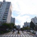소파미래도 이미지