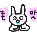 불멸의쭈꾸미 이미지