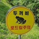 호월