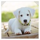 다온메디케어 이미지