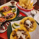 (주)제주왕 | 제주 타코 맛집 1등 웨이팅 필수 제주시청 맛집 라스또르따스 방문 후기