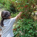 금곡가든 이미지