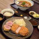 코끼리마트 | 2025. 02. 24. 2월 넷째 주 (왕십리곱창, 카츠쇼신, 코끼리베이글, 국중박, 신간짬뽕, 나트랑 여행)