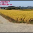 임봉보건진료소 이미지