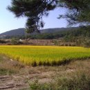 인비농장 이미지