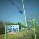 가야농장 | [후기] 서산 스핑크스 타조농장 음 꼭 가야 할까 (비추, 이유 있음)