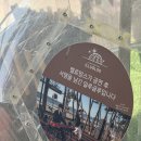 가삼길 57 건물 앞 | 태안 꽃지해수욕장 선셋 아일랜드57 아일랜드 리솜 야외 광장 주차 메뉴 꿀팁