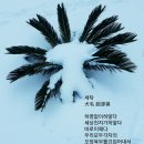 천지세탁 이미지