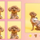 싼타사진관 이미지