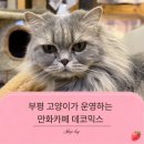 롯데백화점앞(부평문화로35) | 인천 부평 데이트 | 고양이가 있는 힐링 만화카페 카페데코믹스부평점