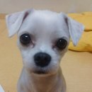 인헌동-28 이미지