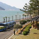당항포관광지공룡엑스포주제관 Daum카페