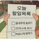 (주)드림리퍼블릭 | 4월 마지막주 ~ 5월 첫쨋주 일상 : 안녕히계세요 여러분~~ 저는 자유를 찾아 떠납니다
