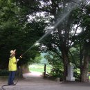 주상면사무소 이미지