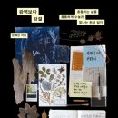 대단한옷가게 네이버블로그