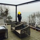 플펜션